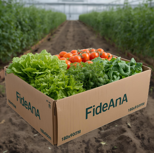 Hobi 300 (50'şer Adet İstediğiniz Fide)